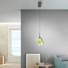 Zula Suspension Luminaires Paul Neuhaus LED Brun, 1 lumière