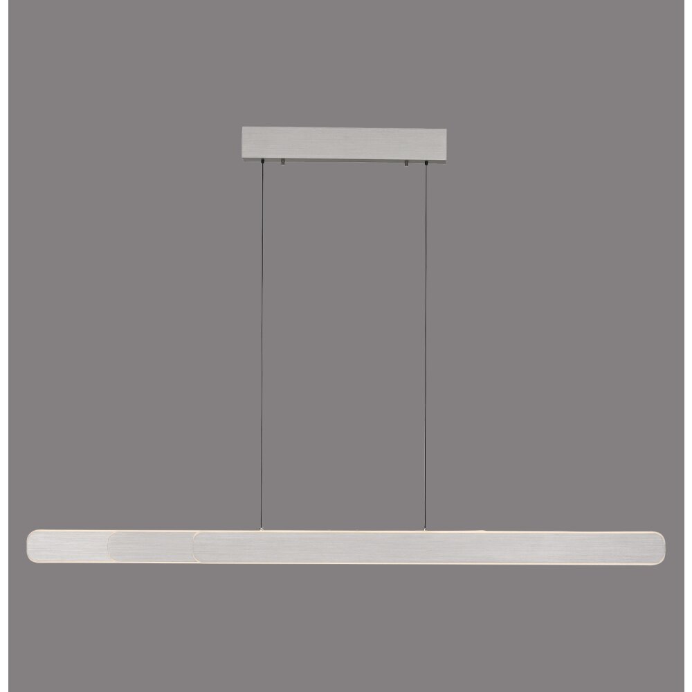 Round Suspension Luminaires Paul Neuhaus LED Aluminium, 2 lumières main product photo