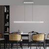 Round Suspension Luminaires Paul Neuhaus LED Aluminium, 2 lumières