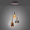 Irides Suspension Luminaires Paul Neuhaus LED Brun, 3 lumières