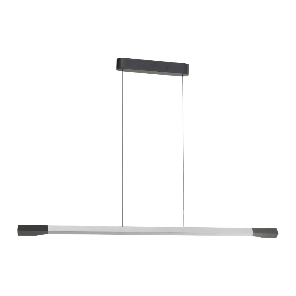 Hoop Suspension Luminaires Paul Neuhaus LED Anthracite, Argenté, 1 lumière