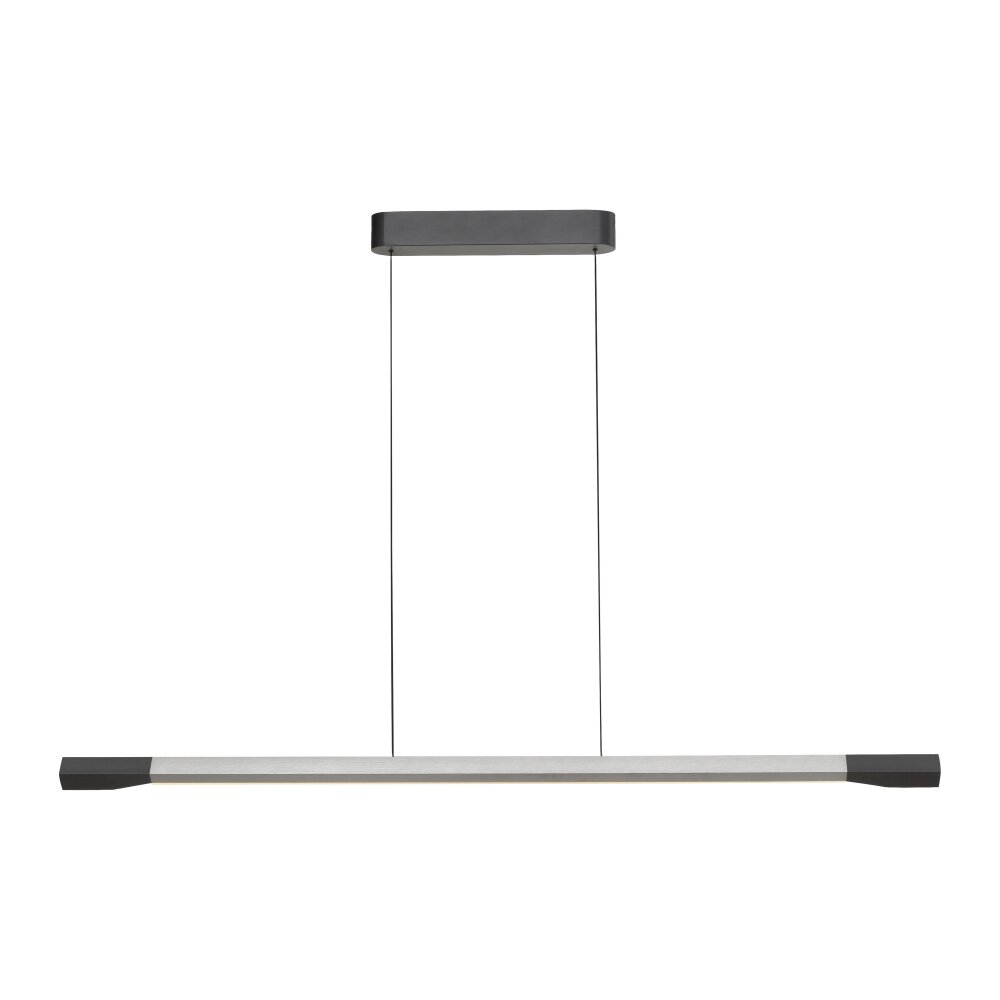 Hoop Suspension Luminaires Paul Neuhaus LED Anthracite, Argenté, 1 lumière