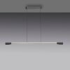 Hoop Suspension Luminaires Paul Neuhaus LED Anthracite, Argenté, 1 lumière