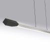 Hoop Suspension Luminaires Paul Neuhaus LED Anthracite, Argenté, 1 lumière