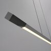 Hoop Suspension Luminaires Paul Neuhaus LED Anthracite, Argenté, 1 lumière