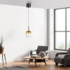 Q-Kon Suspension Luminaires Paul Neuhaus LED Brun, 1 lumière, Télécommandes