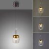Q-Kon Suspension Luminaires Paul Neuhaus LED Brun, 1 lumière, Télécommandes