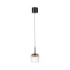 Q-Kon Suspension Luminaires Paul Neuhaus LED Brun, 1 lumière, Télécommandes
