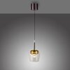 Q-Kon Suspension Paul Neuhaus Q-Serie LED Brun, 1 lumière, Télécommandes