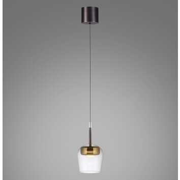 Q-Kon Suspension Luminaires Paul Neuhaus LED Brun, 1 lumière, Télécommandes