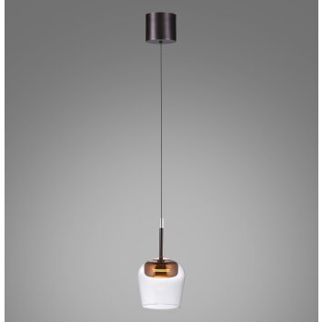Q-Kon Suspension Paul Neuhaus Q-Serie LED Brun, 1 lumière, Télécommandes Q-Kon Suspension Paul Neuhaus Q-Serie LED Brun, 1 lumière, Télécommandes