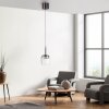 Q-Kon Suspension Luminaires Paul Neuhaus LED Brun, 1 lumière, Télécommandes