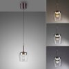 Q-Kon Suspension Luminaires Paul Neuhaus LED Brun, 1 lumière, Télécommandes