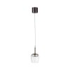 Q-Kon Suspension Luminaires Paul Neuhaus LED Brun, 1 lumière, Télécommandes