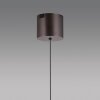 Q-Kon Suspension Luminaires Paul Neuhaus LED Brun, 1 lumière, Télécommandes