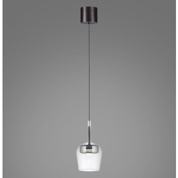 Q-Kon Suspension Luminaires Paul Neuhaus LED Brun, 1 lumière, Télécommandes