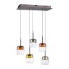 Q-Kon Suspension Luminaires Paul Neuhaus LED Brun, 5 lumières, Télécommandes