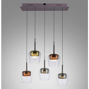 Q-Kon Suspension Luminaires Paul Neuhaus LED Brun, 5 lumières, Télécommandes