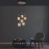 Q-Kon Suspension Luminaires Paul Neuhaus LED Brun, 6 lumières, Télécommandes