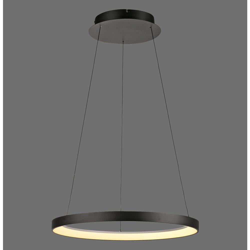 Hoop Suspension Luminaires Paul Neuhaus LED Noir, 1 lumière main product photo