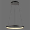 Hoop Suspension Luminaires Paul Neuhaus LED Noir, 1 lumière