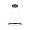Hoop Suspension Luminaires Paul Neuhaus LED Noir, 1 lumière
