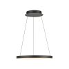 Hoop Suspension Luminaires Paul Neuhaus LED Noir, 1 lumière