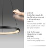 Hoop Suspension Luminaires Paul Neuhaus LED Noir, 1 lumière