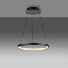Hoop Suspension Luminaires Paul Neuhaus LED Noir, 1 lumière