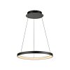 Hoop Suspension Luminaires Paul Neuhaus LED Noir, 1 lumière