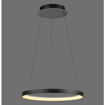 Hoop Suspension Luminaires Paul Neuhaus LED Noir, 1 lumière