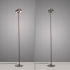 Q-Rotate Lampadaire Luminaires Paul Neuhaus LED Brun, 1 lumière, Télécommandes