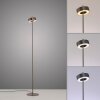 Q-Rotate Lampadaire Luminaires Paul Neuhaus LED Brun, 1 lumière, Télécommandes