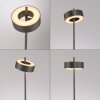 Q-Rotate Lampadaire Paul Neuhaus Q-Serie LED Brun, 1 lumière, Télécommandes