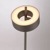 Q-Rotate Lampadaire Paul Neuhaus Q-Serie LED Brun, 1 lumière, Télécommandes