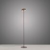 Q-Rotate Lampadaire Paul Neuhaus Q-Serie LED Brun, 1 lumière, Télécommandes