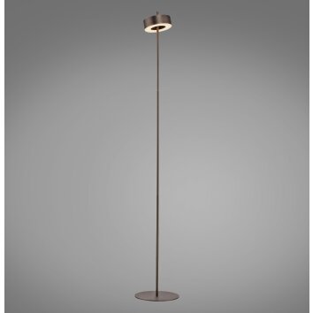 Q-Rotate Lampadaire Paul Neuhaus Q-Serie LED Brun, 1 lumière, Télécommandes