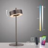 Q-Rotate Lampe à poser Paul Neuhaus Q-Serie LED Brun, 1 lumière, Télécommandes