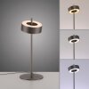 Q-Rotate Lampe à poser Paul Neuhaus Q-Serie LED Brun, 1 lumière, Télécommandes