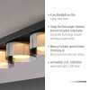 Rika Plafonnier Luminaires Paul Neuhaus LED Noir, 4 lumières