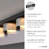 Rika Plafonnier Luminaires Paul Neuhaus LED Noir, 4 lumières