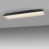 Q-Magong Plafonnier Luminaires Paul Neuhaus LED Noir, 1 lumière, Télécommandes
