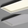 Q-Magong Plafonnier Luminaires Paul Neuhaus LED Noir, 1 lumière, Télécommandes