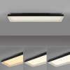 Q-Magong Plafonnier Luminaires Paul Neuhaus LED Noir, 1 lumière, Télécommandes