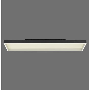 Q-Magong Plafonnier Paul Neuhaus Q-Serie LED Noir, 1 lumière, Télécommandes Q-Magong Plafonnier Paul Neuhaus Q-Serie LED Noir, 1 lumière, Télécommandes
