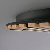 Q-Akustik Applique murale / Plafonnier Luminaires Paul Neuhaus LED Brun, Noir, 1 lumière, Télécommandes