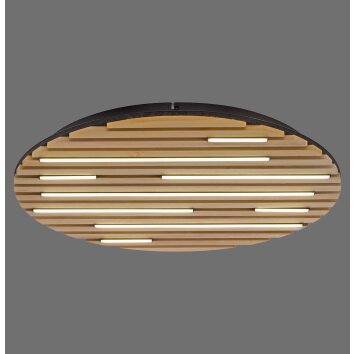 Q-Akustik Applique murale / Plafonnier Luminaires Paul Neuhaus LED Brun, Noir, 1 lumière, Télécommandes