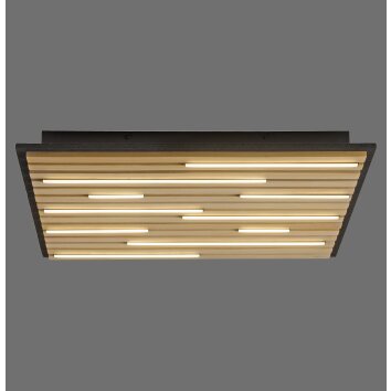 Q-Akustik Applique murale / Plafonnier Luminaires Paul Neuhaus LED Brun, Noir, 1 lumière, Télécommandes