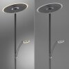 Artur Lampadaire Luminaires Paul Neuhaus LED Anthracite, 2 lumières