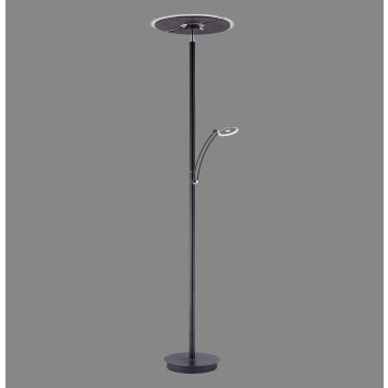 Artur Lampadaire Luminaires Paul Neuhaus LED Anthracite, 2 lumières